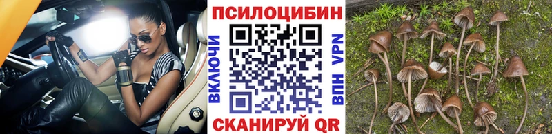 Галлюциногенные грибы MAGIC MUSHROOMS  hydra сайт  Пыть-Ях 